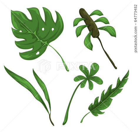 Jungle leaves and flowers Jungle leaves and flowers 64773482