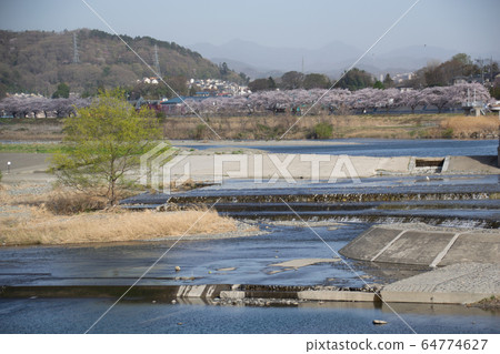 玉川 64774627
