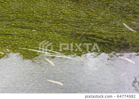 Shirakawa water source 64774982