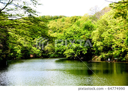 Shinsei lake fresh green 64774990