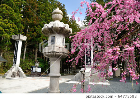 Koyasan Okunoin approach entrance 64775598