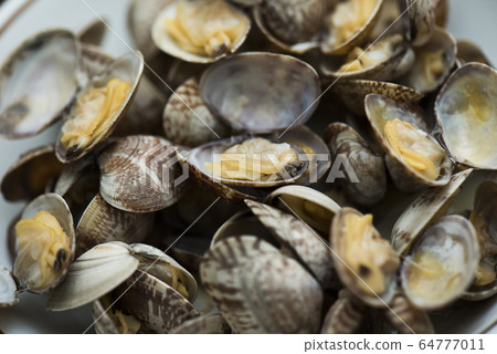 Sake Steamed Clam  64777011