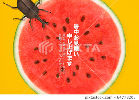Summer greeting-watermelon-beetle 64778203