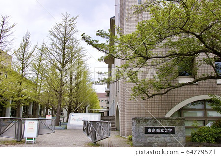 東京都立大學 64779571