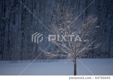 美瑛在冬天，風景如水墨畫 64780840