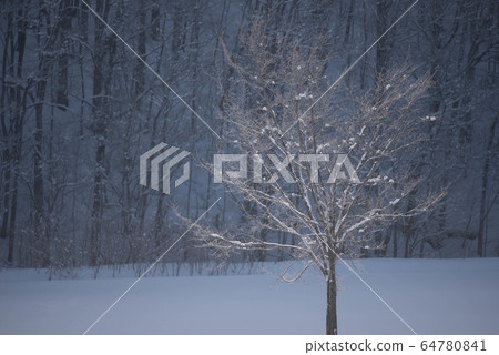 美瑛在冬天，風景如水墨畫 64780841