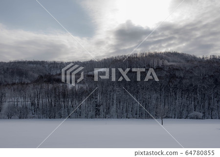 美瑛在冬天，風景如水墨畫 64780855