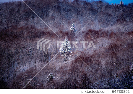 美瑛在冬天，風景如水墨畫 64780861