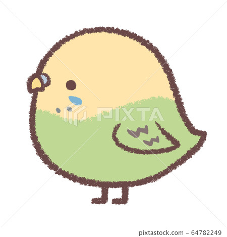 Budgerigar yellow 64782249