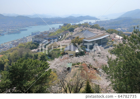 Onomichi's cityscape and cherry blossom trees seen from the observation deck at the top of Senkoji Park Onomichi's cityscape and cherry blossom trees seen from the observation deck at the top of Senkoji Park 64782735