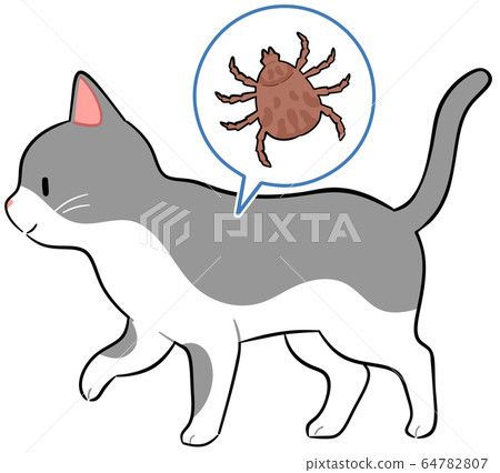 貓和壁蝨 貓和壁蝨 64782807