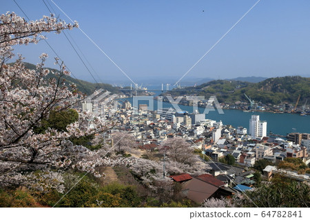從延光寺看櫻花，尾道水道和城市景觀 64782841