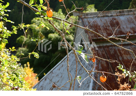 Besshi Village in Niihama City in Autumn 64782866