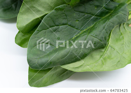 spinach spinach 64783425
