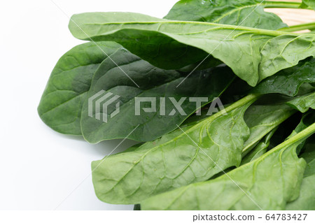 spinach spinach 64783427