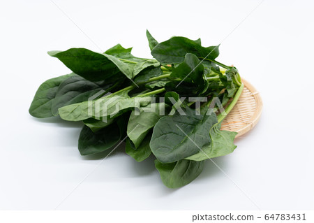 菠菜 菠菜 64783431