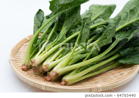 菠菜 菠菜 64783440