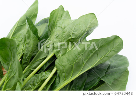 spinach spinach 64783448