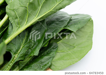 菠菜 64783450