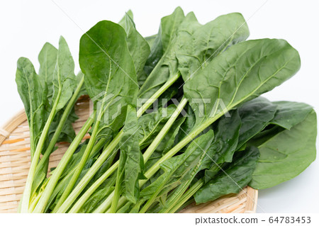 spinach spinach 64783453