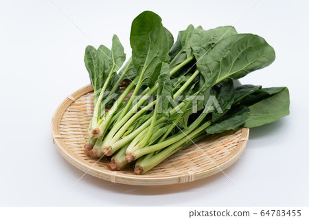 菠菜 64783455