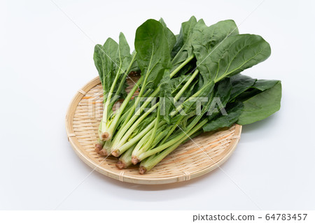 菠菜 菠菜 64783457