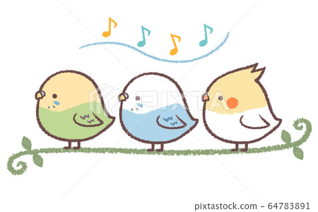 唱歌鸚鵡 唱歌鸚鵡 64783891