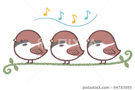 Sparrows singing 64783893