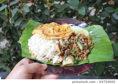 omelette, omelet and stir fried basil with pork omelette, omelet and stir fried basil with pork 64784600