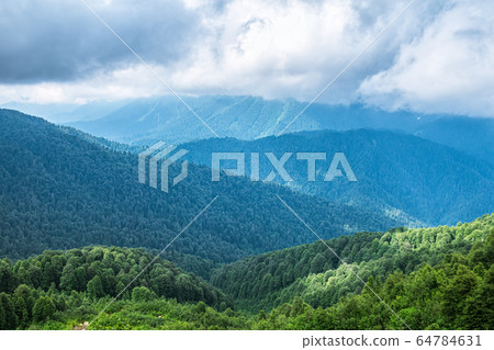 The green slopes of high mountains are hidden in clouds and fog The green slopes of high mountains are hidden in clouds and fog 64784631