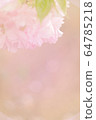Cherry Blossoms	 64785218
