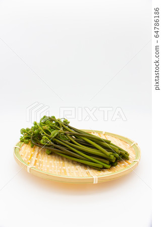 春季傳統野菜芥末 春季傳統野菜芥末 64786186