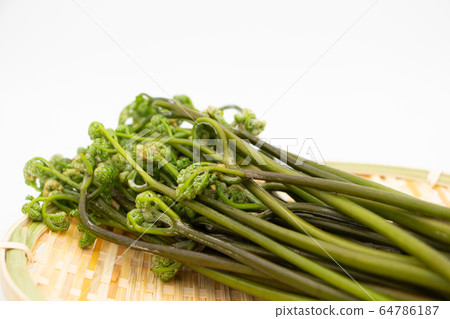 春季傳統野菜芥末 春季傳統野菜芥末 64786187