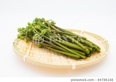 Spring tradition wild vegetables warabi Spring tradition wild vegetables warabi 64786188