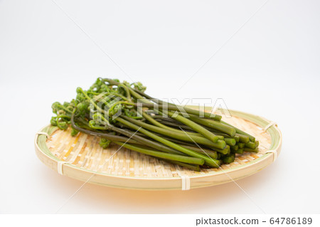 Spring tradition wild vegetables warabi Spring tradition wild vegetables warabi 64786189