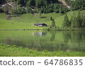 King Lake 64786835