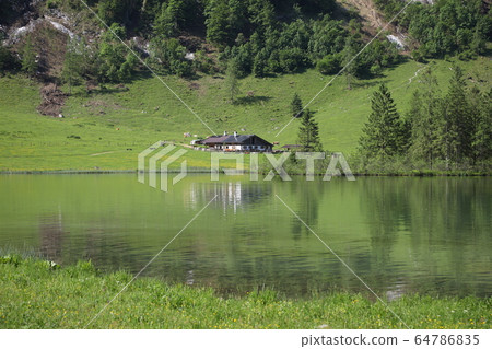King Lake King Lake 64786835