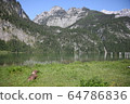 King Lake 64786836
