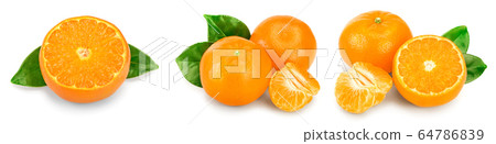 tangerine or mandarin fruit with leaves isolated on white background. Set or collection 64786839