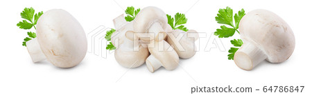 Fresh mushrooms champignon isolated on white background with clipping path and full depth of field. Set or collection 64786847