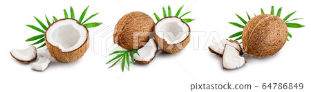 coconut with leaves isolated on white background. Set or collection coconut with leaves isolated on white background. Set or collection 64786849