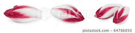 red chicory or radicchio isolated on white background, Set or collection red chicory or radicchio isolated on white background, Set or collection 64786850