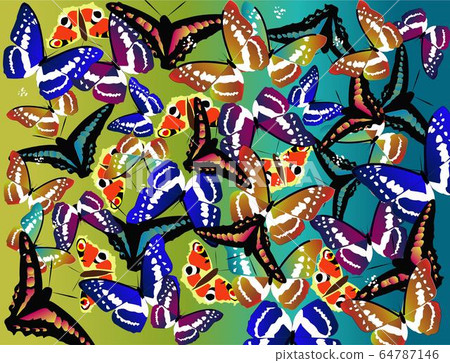 Butterfly Butterfly 64787146