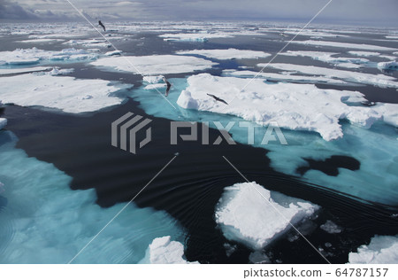 北極冰 64787157