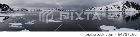 北極冰 北極冰 64787166