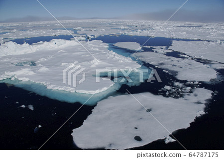 北極冰 64787175