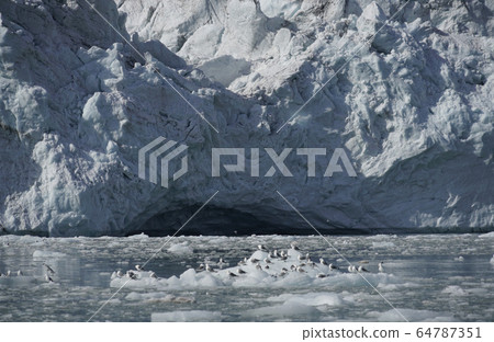 北極冰川 64787351