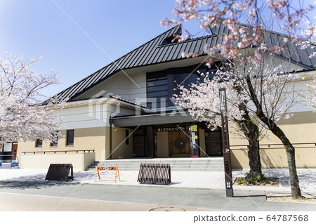 犬山市城町博物館（犬山市文化史博物館）和櫻花 64787568