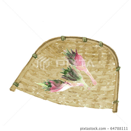 Watercolor Myoga Myoga Mushroom Monkey 64788111