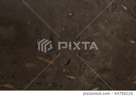 Luxury natural dark brown marble texture close up. 64788229